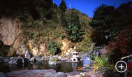 日本庭園  瑞雲